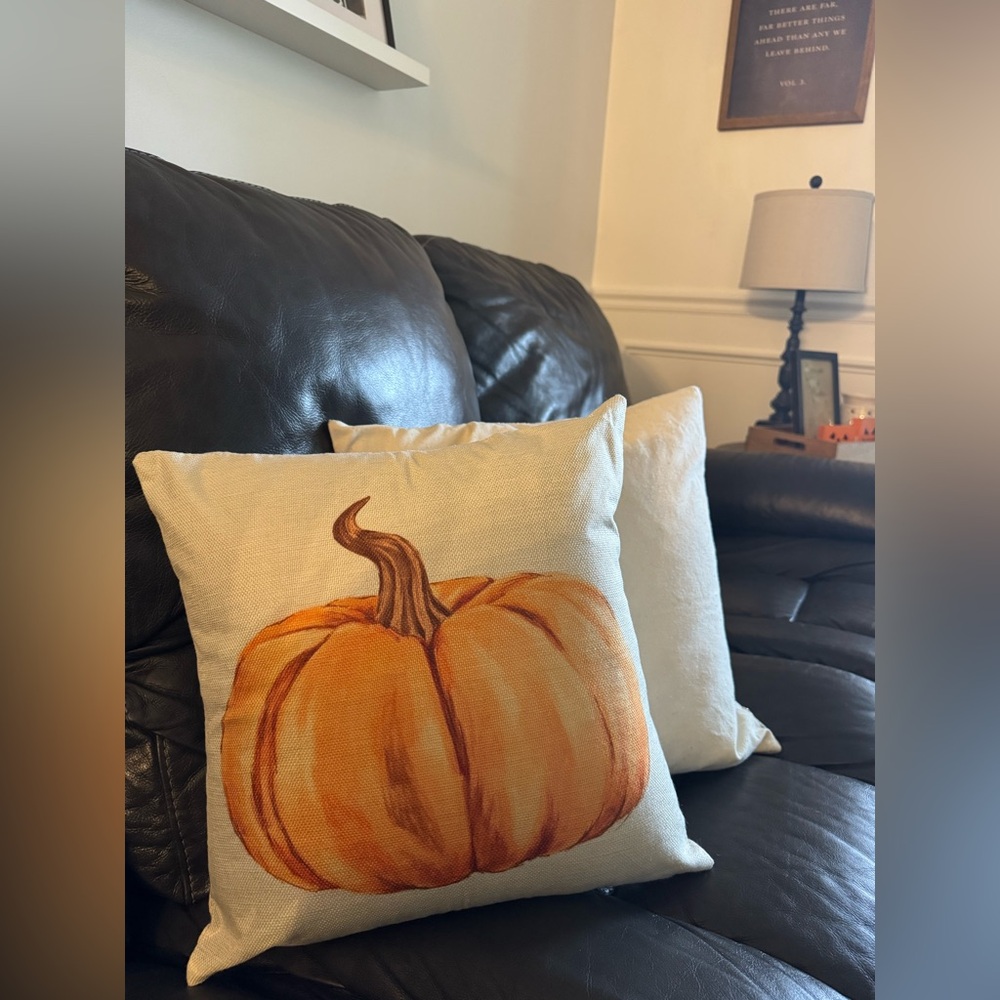 Pumpkin Patch Decorative Pillow covers. - Picture 3 of 3